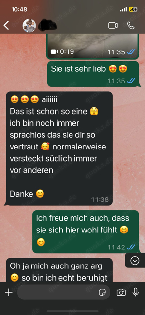 Deckkater mit Stammbaum Bild 6