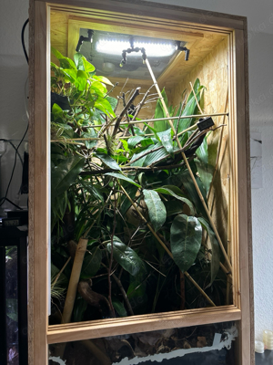 OSB Holzterrarium 60x60x120 mit Belüftung