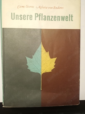 Buch "Unsere Pflanzenwelt" von Sterne & Enderes -TippTopp-Zustand