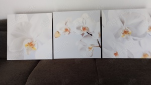Orchideen Leinwand Bilder IKEA 3er Set