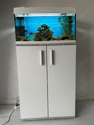 Aquarium 64L mit Fische + all inklusive