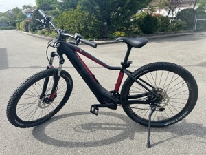 Bulls Aminga Eva 1 E-Bike 27,5" Rahmengröße 41cm Mountainbike