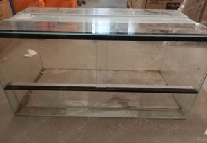 Glas Terrarium 60 cm 30 cm 30cm