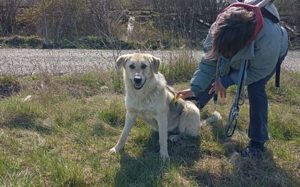 Nuri sehnt sich nach einer Familie!