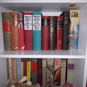 1 Kiste Bücher  Bild 3