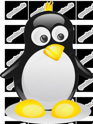 Kostenlose, fachgerechte Installation von Linux