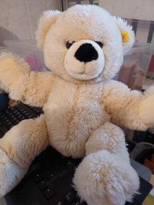 Steiff Teddybär 