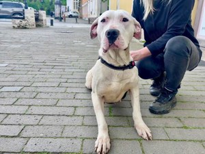 Einzigartige Evita sucht ihre Familie