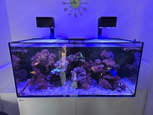 Meerwasser Aquarium Reefer 425 Xl V3