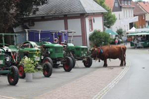 köhler nähmaschine