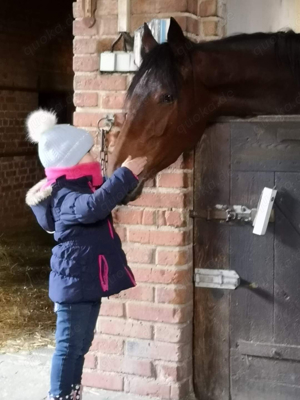 Kinderreiten