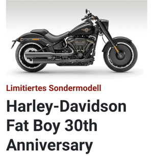 Harley Davidson  Fat  Boy 30th Anniversary