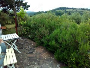 Toscana, 2 Winzerhütten zus.50 qm, 2,6 ha Land, zu verkaufen, 60.000,- , Strom-fl.Wasser... Bild 7