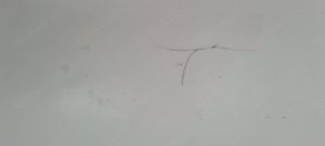 Kühlbox Campingaz 28L_Icetime_L 43(31) x T 30(22) x H 44(33) cm