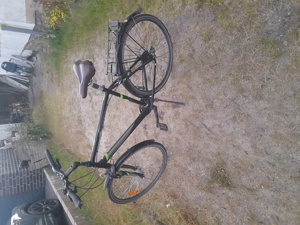 Herren Fahrrad 