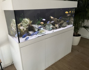 Aquarium Komplett 160x60x60 576 Liter mit Weißglas