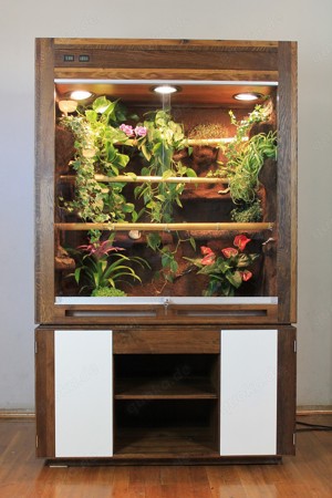 Exclusives Massivholz Terrarium aus Eiche