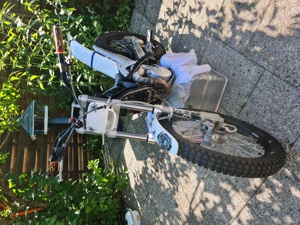 Trialmotorrad SCORPA 250 SY