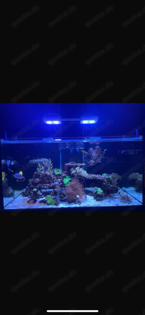 Aquarium mit Unterschrank gebraucht 120x70x60 504L