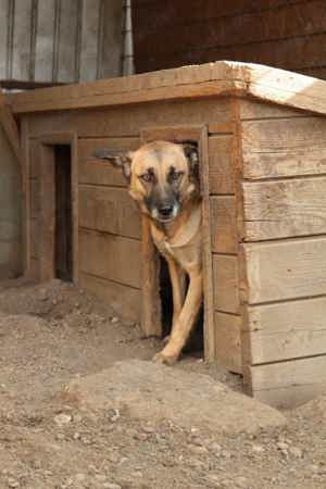 Mascha ca. 50 cm   die Misstrauische