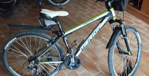 Fahrrad Merida