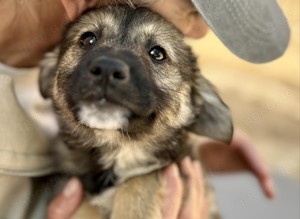 Wer verliebt sich in Amira mit den schönen Augen