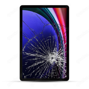 Samsung Tab S9 FE EXPRESS Reparatur in Heidelberg für Display (Touchscreen + LCD)