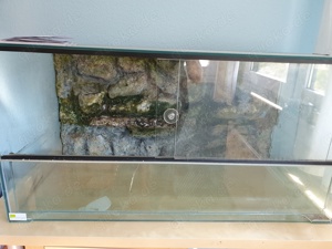 Aquaterrarium, Paludarium, mit Rückwand, 100x50x50