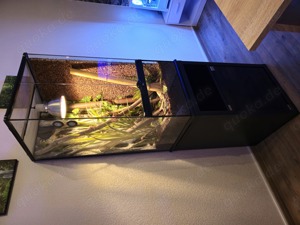 Terrarium mit Unterschrank von ExoTerra 