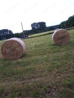 Heurundballen zu verkaufen 