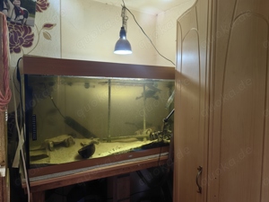 Aquarium zu verkaufen ohne Bewohner 