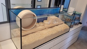 Nagarien aus Glas - 120x50x50 cm