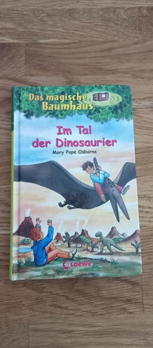 das magische Baumhaus, im Tal der Dinosaurier 