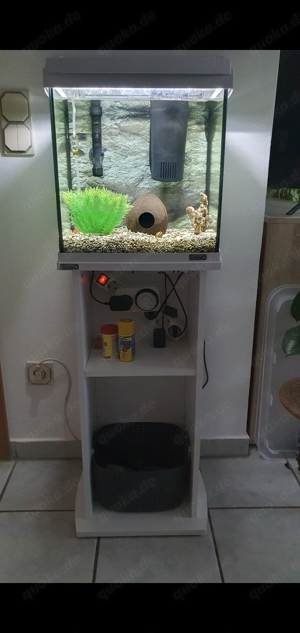 Tetra Aquarium 30l + Tetra Unterschrank + Zubehör