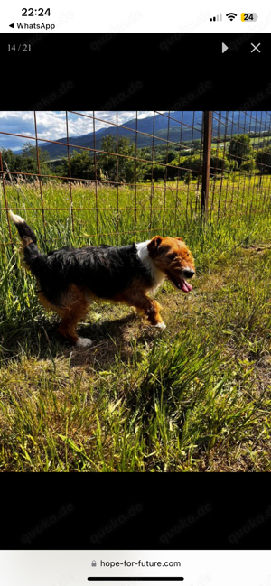 Energievoller Quentin sucht seine Familie