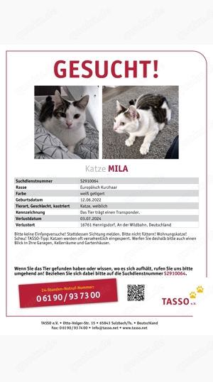 Katze Mila wird vermisst