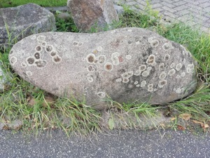 Großer Solitärstein Kiesel 