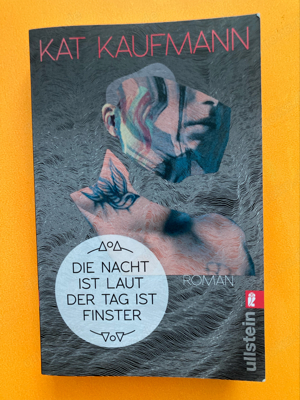 Buch Die Nacht ist laut der Tag ist finster Kat Kaufmann