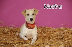 Haben Sie Lust gemeinsam weiteres von Nadira zu entdecken?