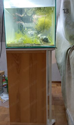 Aquarium mit Schiebescheiben 