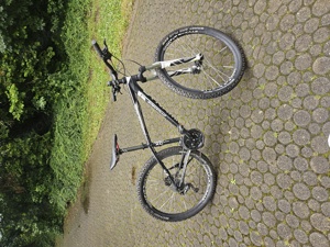 Mountainbike Dynamics Gravity XC 27,5 Zoll 41 Rahmengröße 