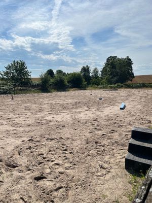 Offenstall-Platz im schönen Meckesheim, 74909  Bild 8