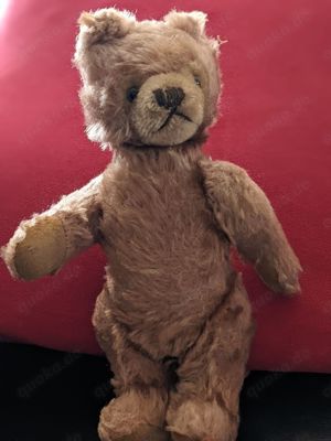 Steiff Teddy für Sammler und Liebhaber ca.50er 60er Jahre