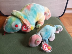 Ty "Iggy" Beanie und Buddy im Bundle Bild 3