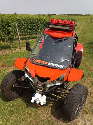 Quadix Buggy Renli 1100 LOF