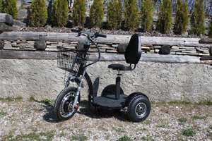 3 Rad eScooter Zippy Sondermodell Behindertenfahrzeug, Seniorenscooter