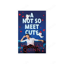 A Not So Meet Cute - Meghan Quinn