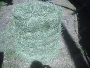 Heuballenpresse RBP 7060 MRB 870 Bild 3