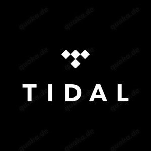 Tidal HiFi Plus Privatkonto   12 Monate