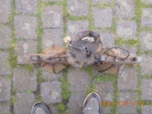 2 Stubenlampen (Kronleuchter) Bild 5